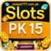 Slots PK 15