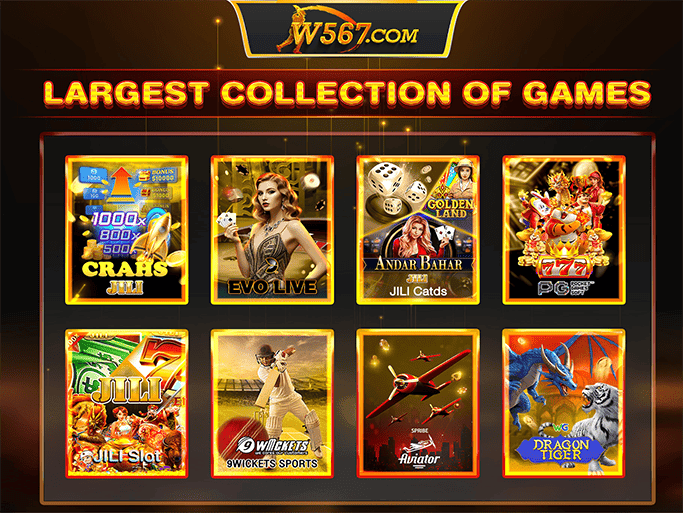 W567 Game