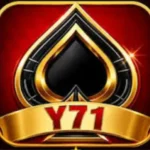 Y71 Game