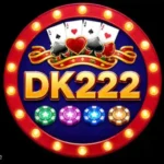 DK 222 Game